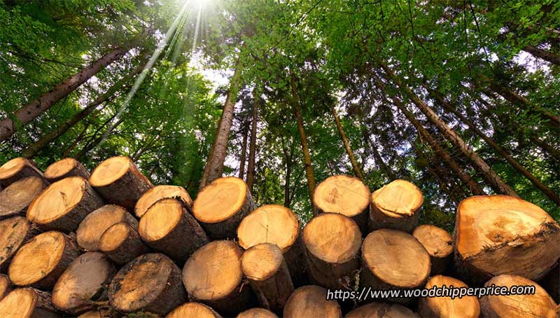 Wood Industry in Indonesia